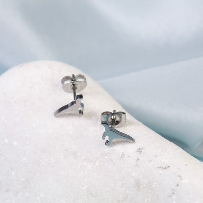 Tiny-Dinosaur-Shaped-Stainless-Steel-Stud-Earrings- (14)