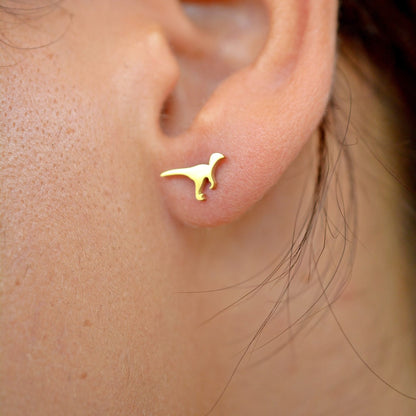 Tiny-Dinosaur-Shaped-Stainless-Steel-Stud-Earrings- (20)